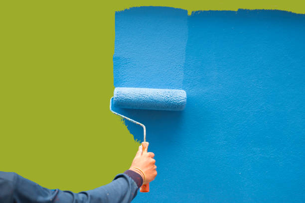 Best Eco-Friendly and Low-VOC Painting  in Brookneal, VA